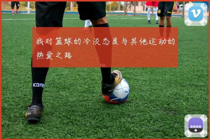 我对篮球的冷淡态度与其他运动的热爱之路