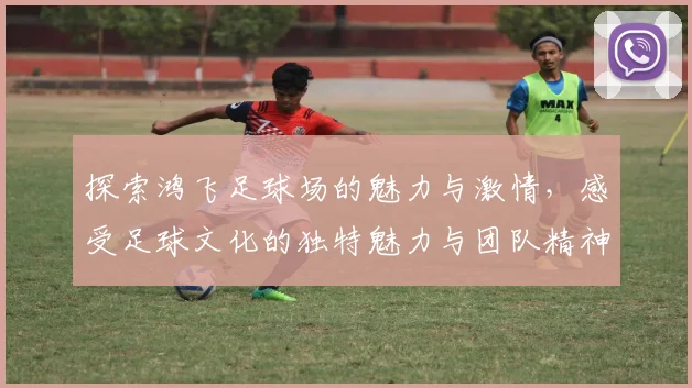 探索鸿飞足球场的魅力与激情，感受足球文化的独特魅力与团队精神