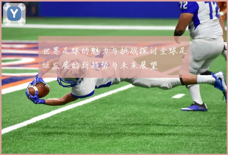 世界足球的魅力与挑战探讨全球足坛发展的新趋势与未来展望